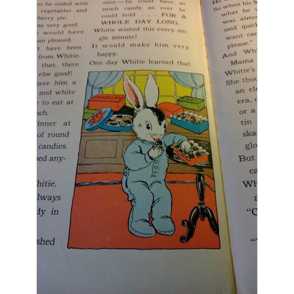 The Story Book of Whitie and Pinkie Lydia Scott Pru Herric HB 1940 Wonderful! - Picture 4 of 11